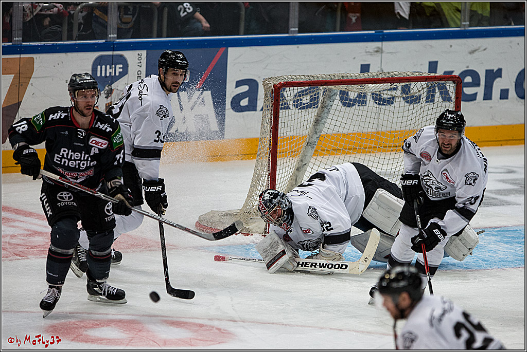 DEL, Koelner Haie - Nuernberg Ice Tiger, 24.01.2017